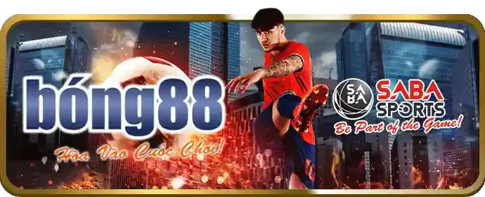 Hoàn trả hàng ngày 88cld